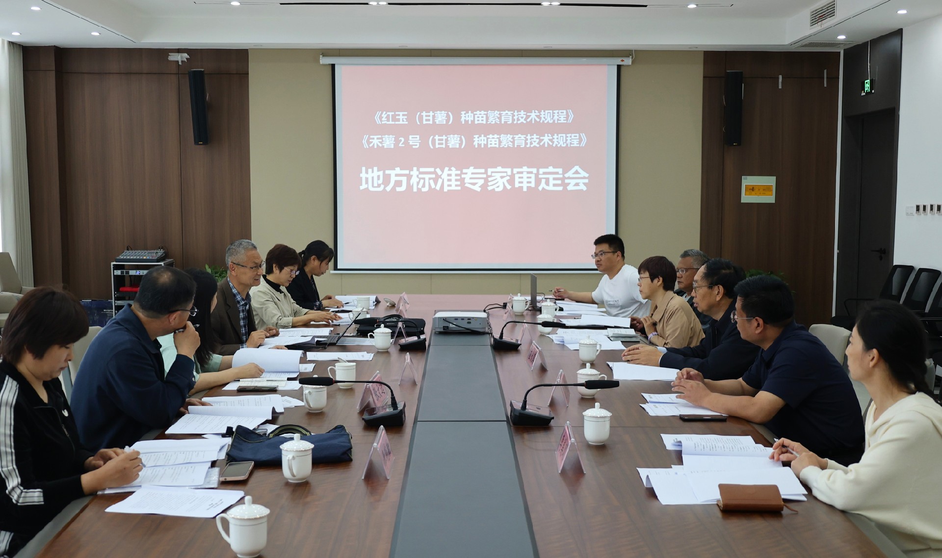 00新闻稿.jpg