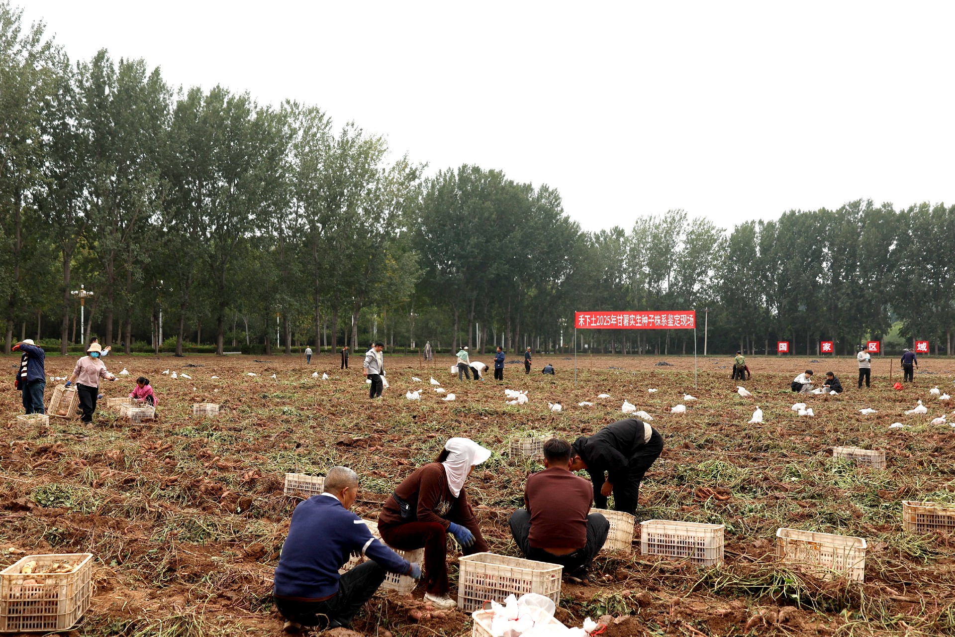 1761180949212916.jpg 微信图片_20251017105213_144_53.jpg