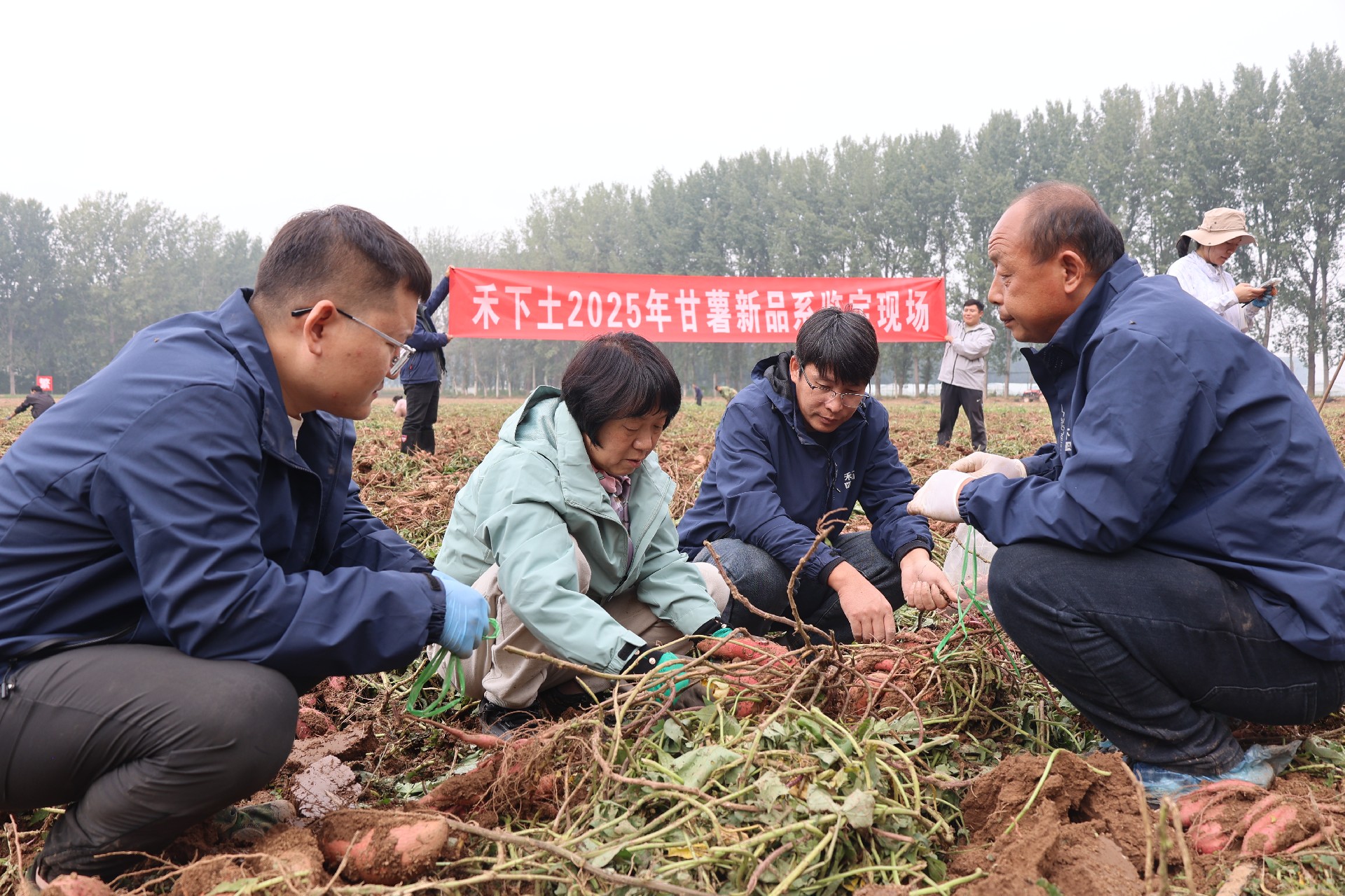 1761180981183807.jpg 微信图片_20251017104342_138_53.jpg