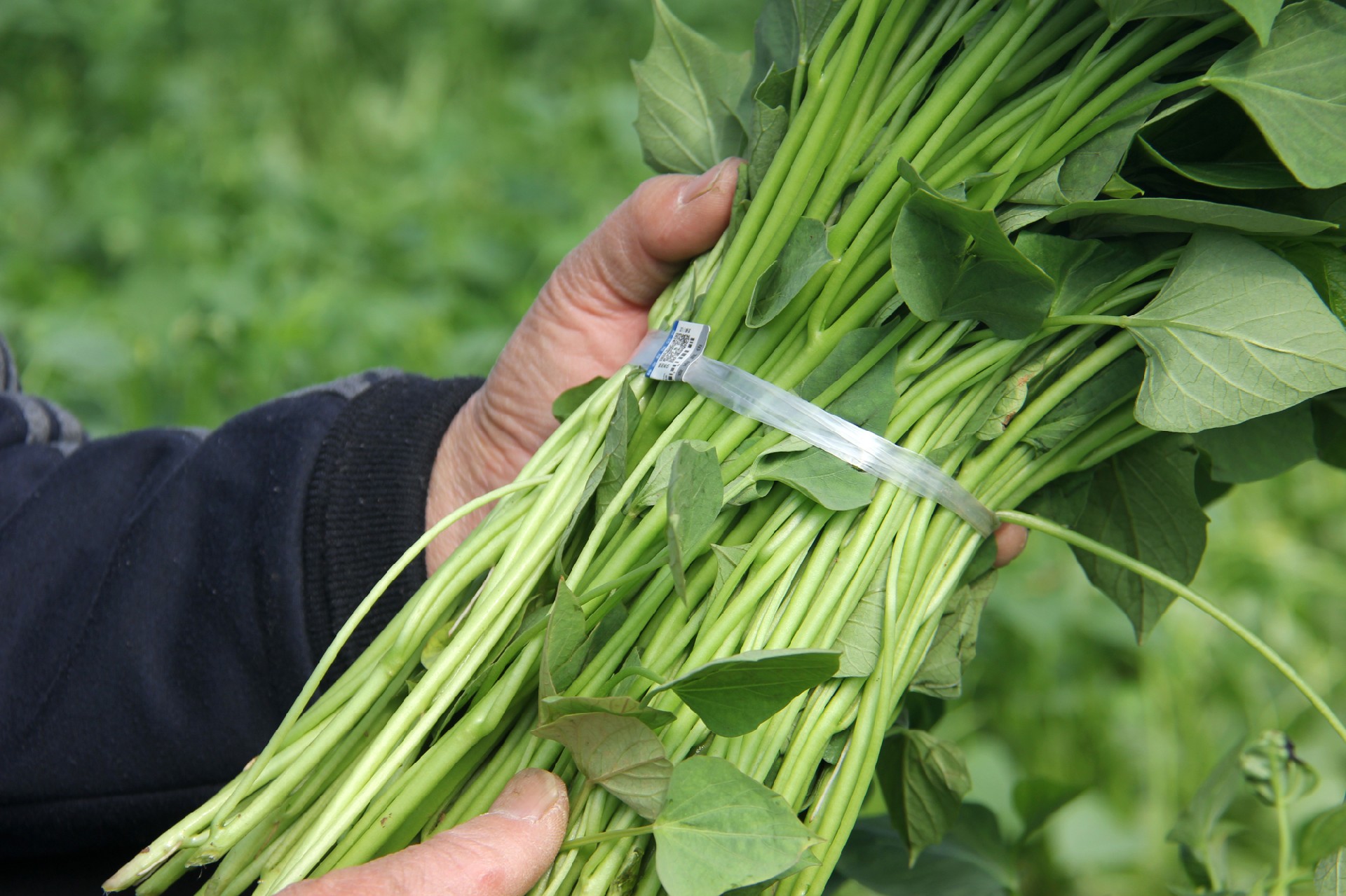 1766720396153974.jpg 微信图片_20251226112612_1082_2.jpg