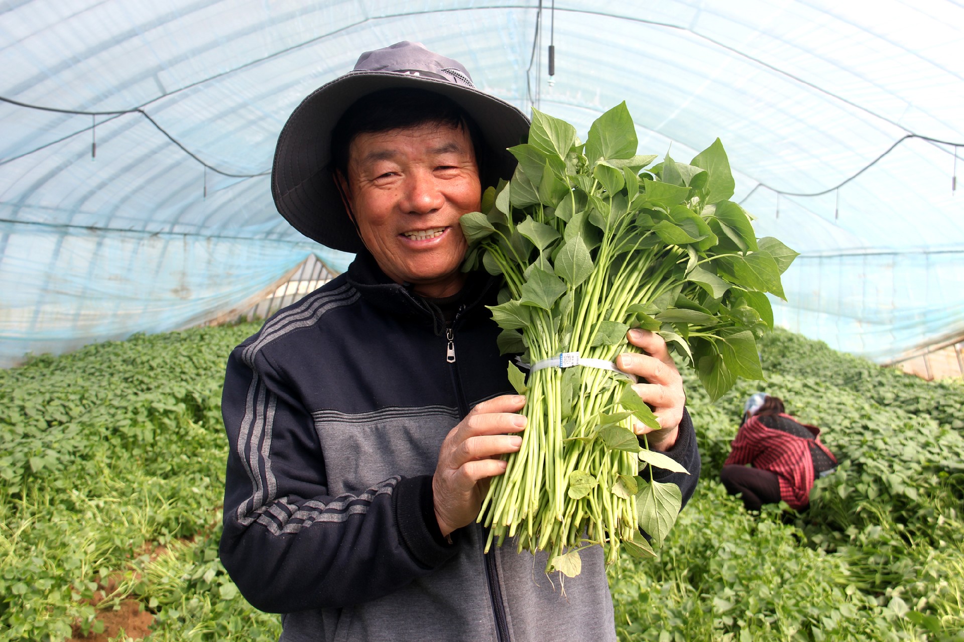 1766720413147205.jpg 微信图片_20251226112613_1083_2.jpg