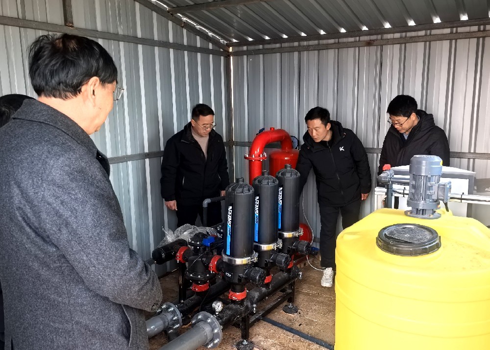 1769675689152688.jpg 1.0.jpg