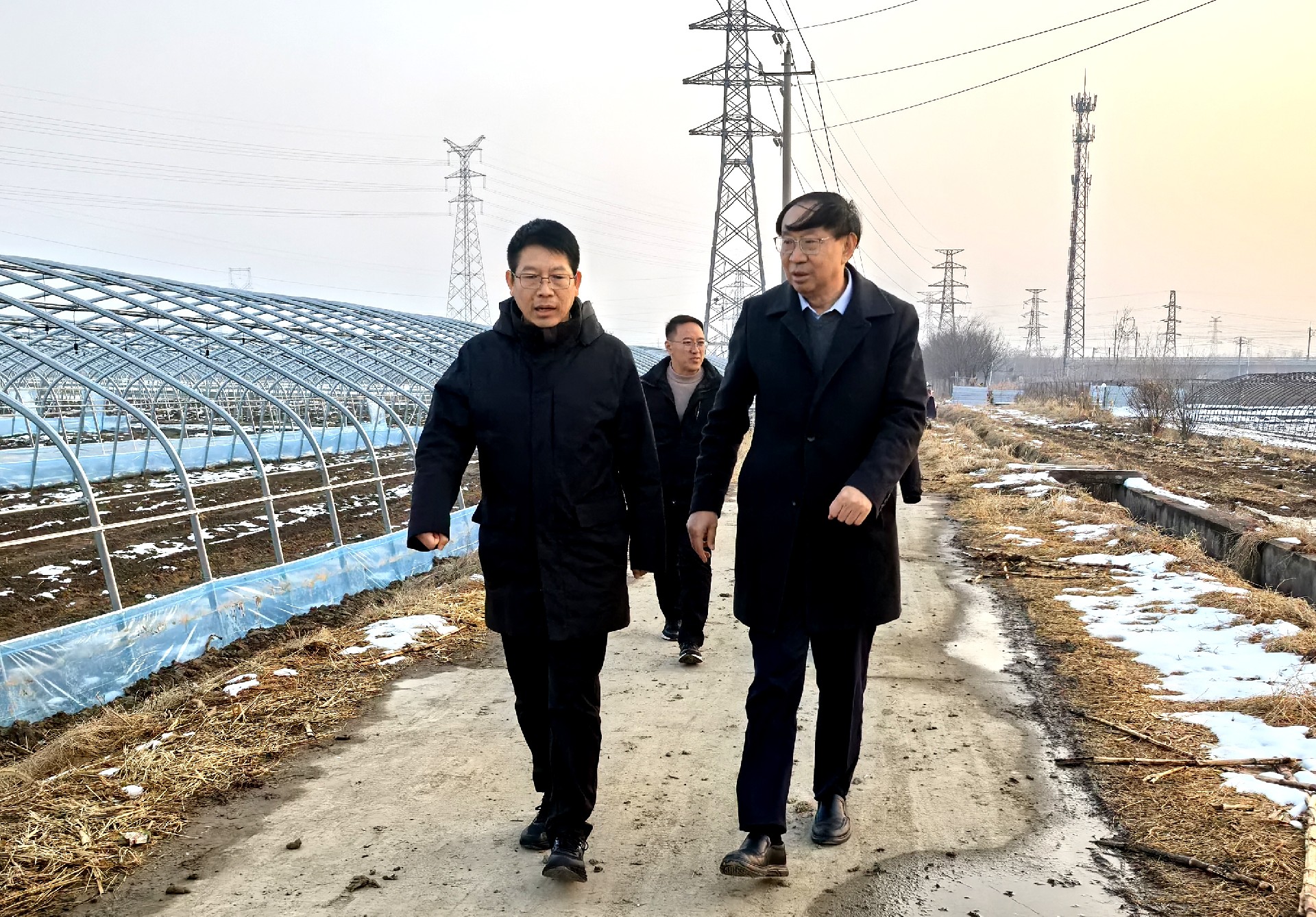 1769675708560057.jpg 2.0.jpg