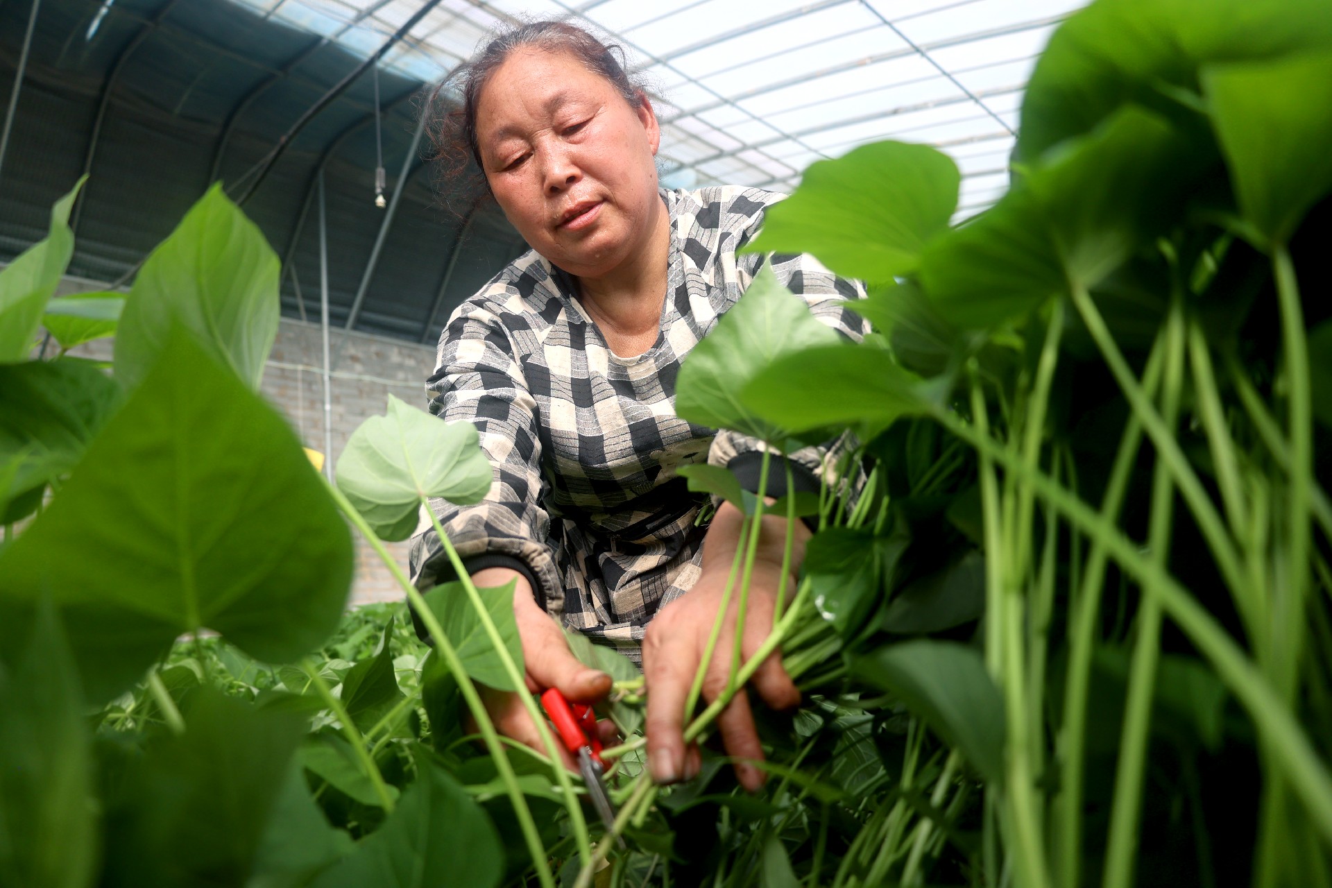 1771832903108528.jpg 1.jpg