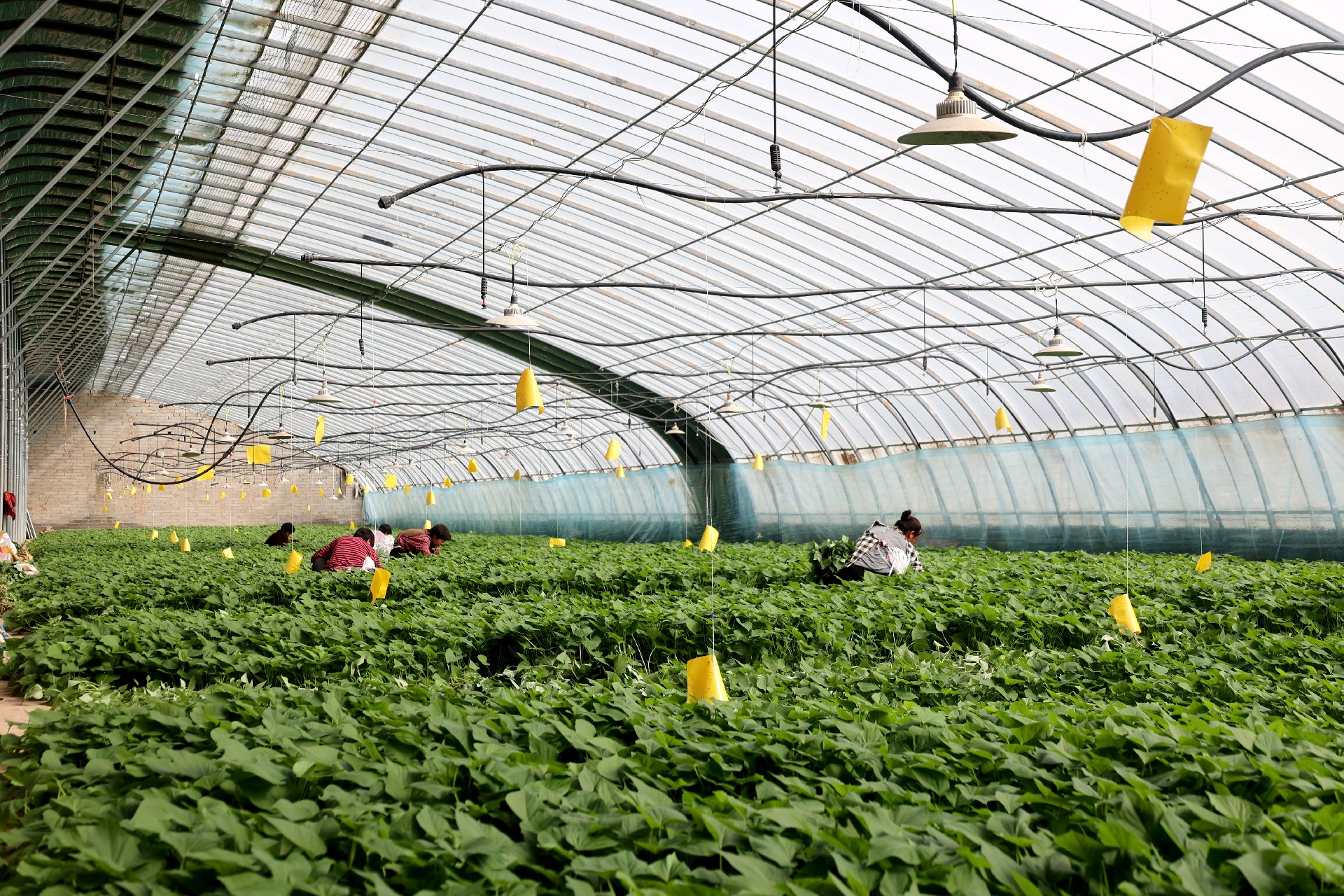 1771832919157099.jpg 10.jpg