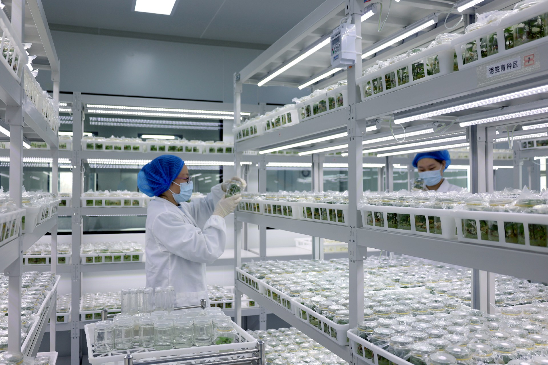 1771832974136826.jpg 5.jpg