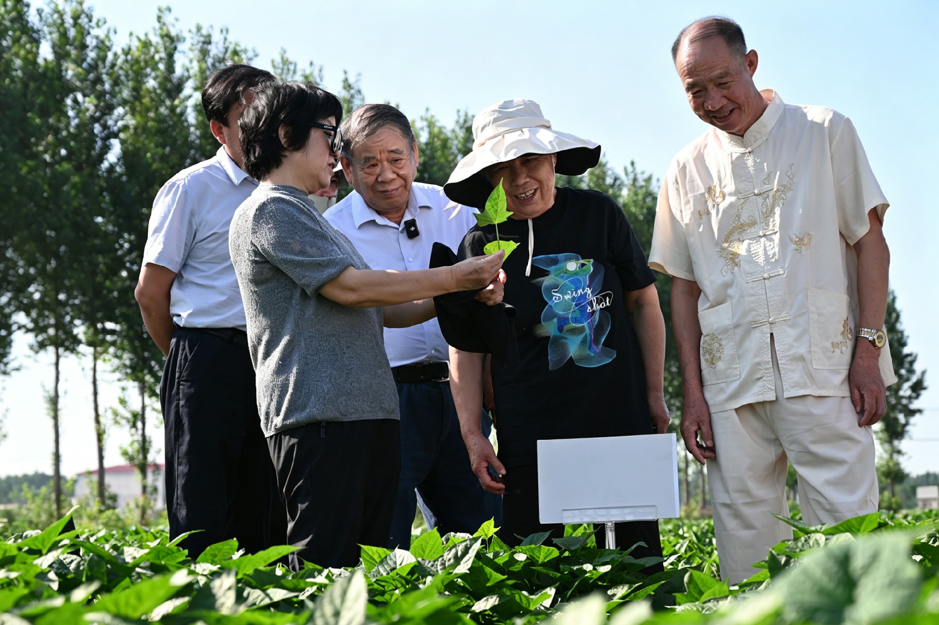 微信图片_20260629091641_431_53.jpg