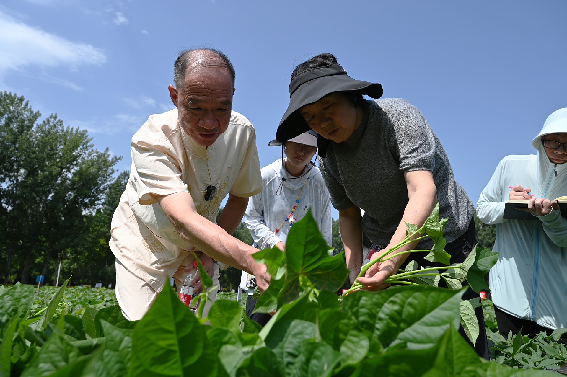 微信图片_20260629091646_437_53.jpg